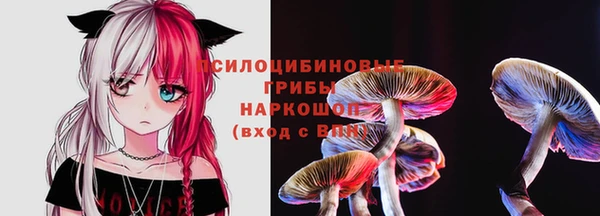 стаф Пестово