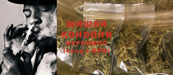 стаф Пестово