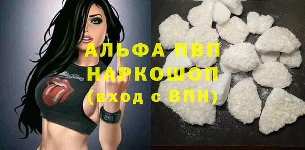 прущие крисы Пересвет