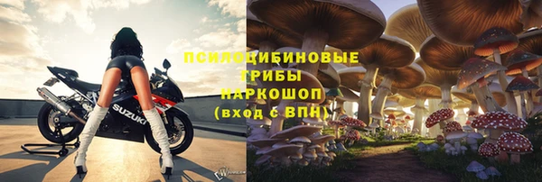ПСИЛОЦИБИНОВЫЕ ГРИБЫ Ладушкин