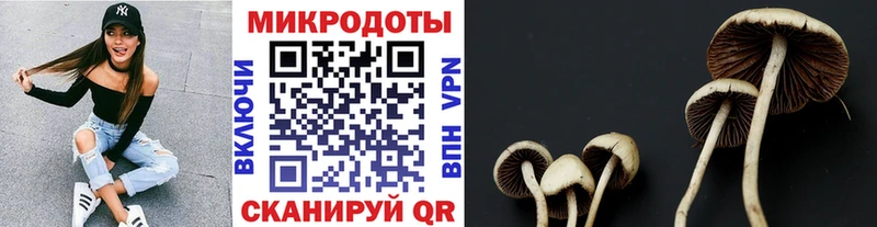 Галлюциногенные грибы GOLDEN TEACHER купить сайты Красный Сулин